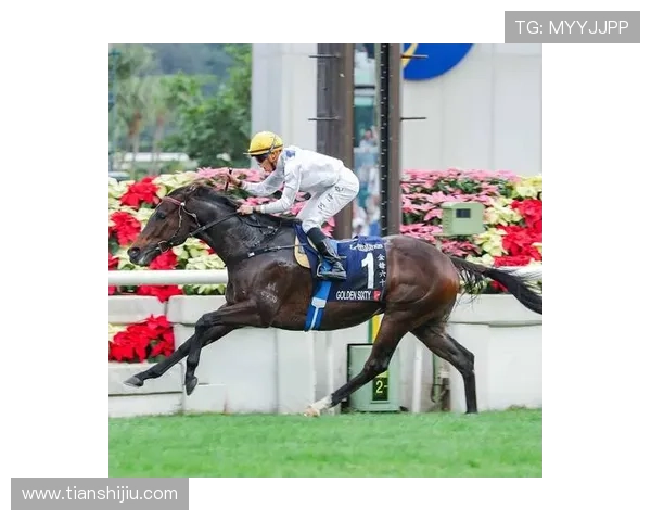 hkjc网娱乐：掌握香港赛马会网上娱乐的技巧与策略提升您的中奖几率