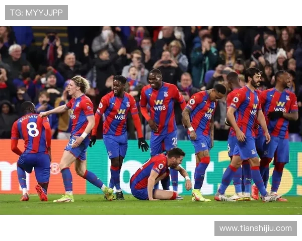 在英超水晶宫官网上查看球队战绩、球员数据及未来比赛预测