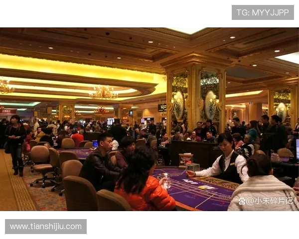 探索十六浦澳门的豪华赌场与高端娱乐设施，享受极致奢华的博彩体验