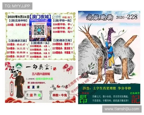 新澳门官网地址导航指南，详细介绍最新入口地址确保玩家畅玩无忧