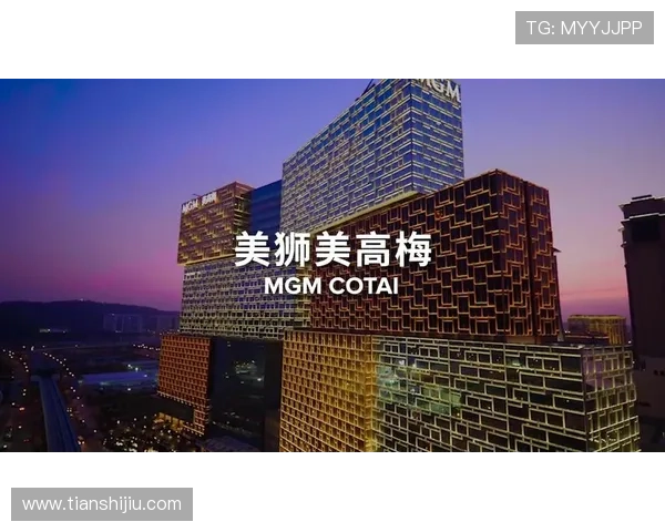 澳门美高梅app登录流程详解及常见问题解决方案，确保玩家轻松畅玩无障碍