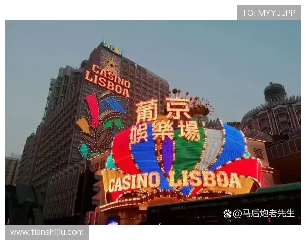 澳门银河娱乐集团有限公司在澳门博彩行业中的竞争优势与市场布局